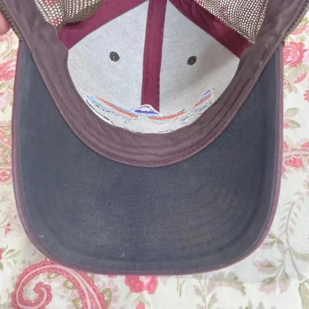 Patagonia Brown Trout Mountains Snapback Cap Fish Logo